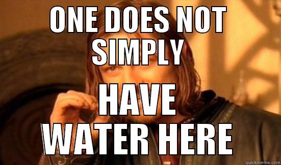 ONE DOES NOT SIMPLY HAVE WATER HERE Boromir