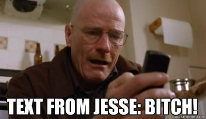 Text from Jesse: BITCH! - Text from Jesse: BITCH!  Breaking Bad- Bitch!