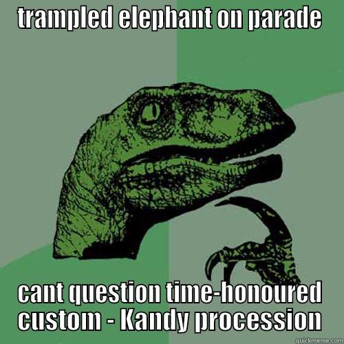 TRAMPLED ELEPHANT ON PARADE CANT QUESTION TIME-HONOURED CUSTOM - KANDY PROCESSION Philosoraptor