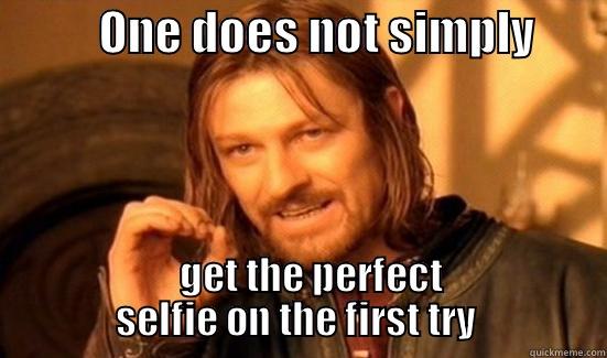            ONE DOES NOT SIMPLY                                                     GET THE PERFECT                                    SELFIE ON THE FIRST TRY                 Boromir