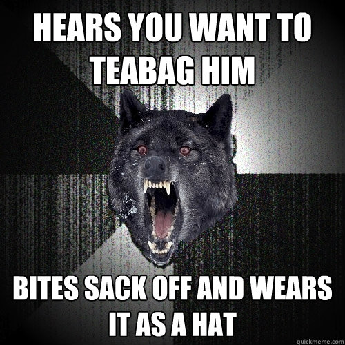 HEARS YOU WANT TO TEABAG HIM BITES SACK OFF AND WEARS IT AS A HAT - HEARS YOU WANT TO TEABAG HIM BITES SACK OFF AND WEARS IT AS A HAT  Insanity Wolf