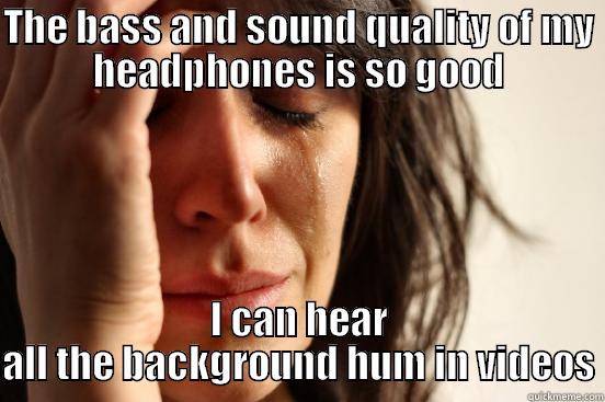 THE BASS AND SOUND QUALITY OF MY HEADPHONES IS SO GOOD I CAN HEAR ALL THE BACKGROUND HUM IN VIDEOS First World Problems