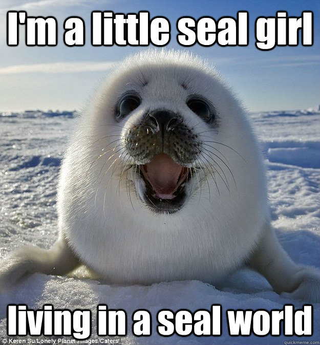 I'm a little seal girl living in a seal world - I'm a little seal girl living in a seal world  Easily Pleased Seal