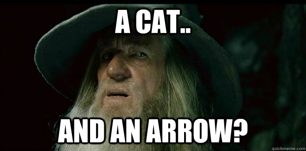 a cat.. and an arrow?  I have no memory Gandalf
