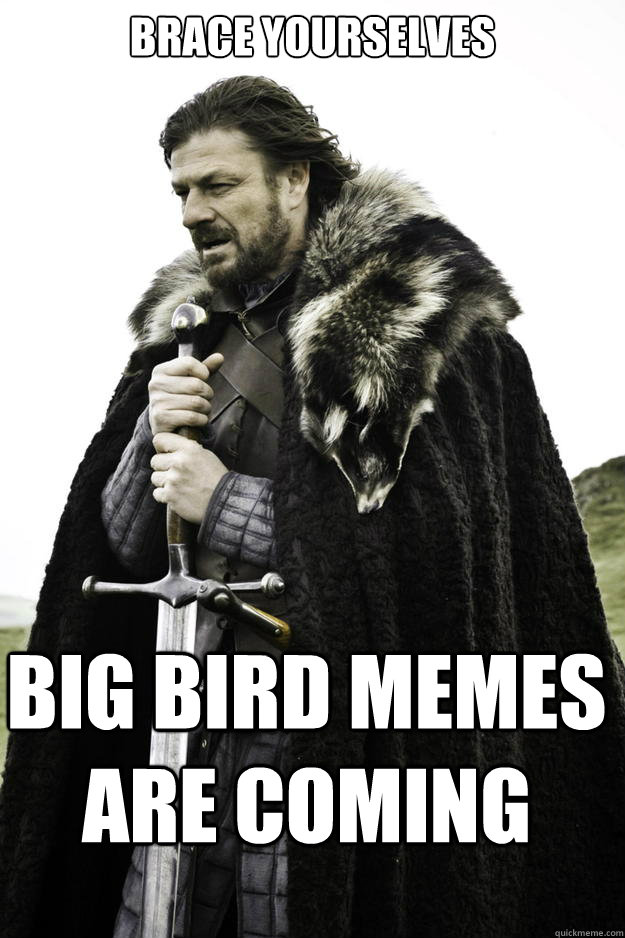 Brace Yourselves Big Bird memes are coming  Winter is coming