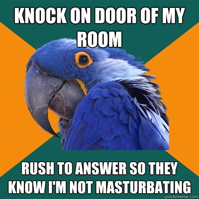 Knock on door of my room rush to answer so they know i'm not masturbating  Paranoid Parrot