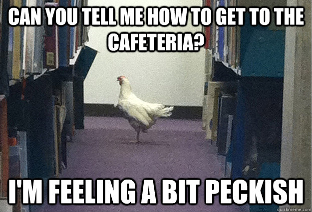 can you tell me how to get to the cafeteria? i'm feeling a bit peckish - can you tell me how to get to the cafeteria? i'm feeling a bit peckish  Grade-A Chicken