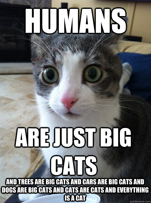 humans are just big cats and trees are big cats and cars are big cats and dogs are big cats and cats are cats and everything is a cat  Sudden Clarity Cat