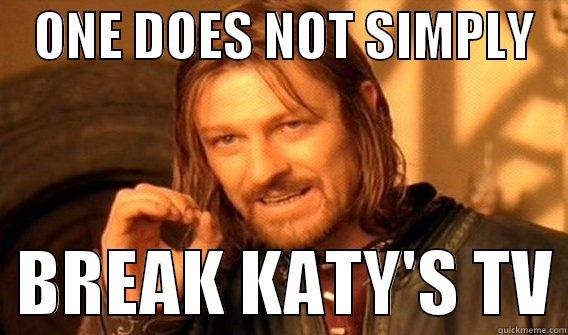    ONE DOES NOT SIMPLY      BREAK KATY'S TV One Does Not Simply
