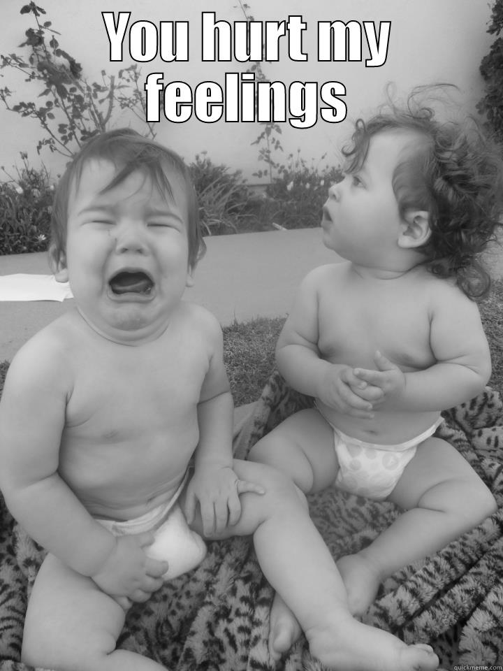 Crybaby Meme  - YOU HURT MY FEELINGS  Misc