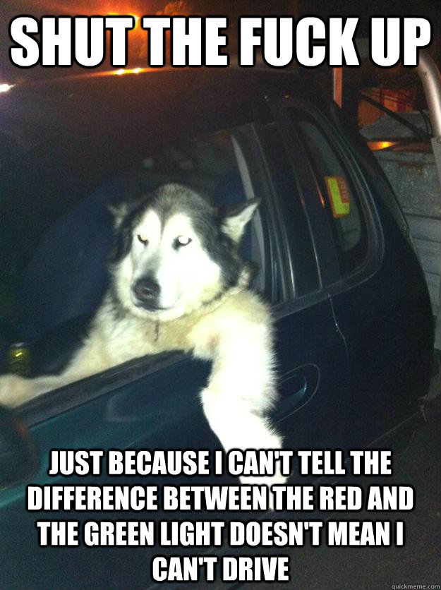 Shut the fuck up just because I can't tell the difference between the red and the green light doesn't mean I can't drive  Mean Dog