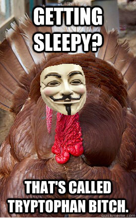 Getting sleepy? That's called tryptophan bitch.  