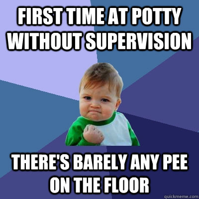 first time at potty without supervision there's barely any pee on the floor - first time at potty without supervision there's barely any pee on the floor  Success Kid