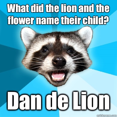 What did the lion and the flower name their child? Dan de Lion - What did the lion and the flower name their child? Dan de Lion  Lame Pun Coon
