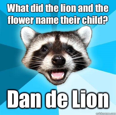 What did the lion and the flower name their child? Dan de Lion  Lame Pun Coon