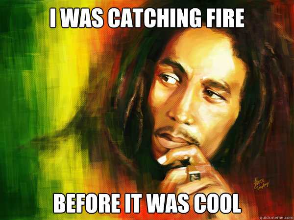 I was Catching Fire Before it was cool - I was Catching Fire Before it was cool  Hipster Bob Marley