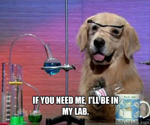 If you need me, i'll be in my lab.  
