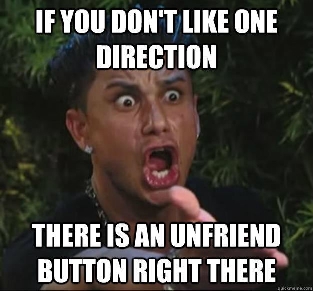 if you don't like one direction there is an unfriend button right there - if you don't like one direction there is an unfriend button right there  pauly d meme