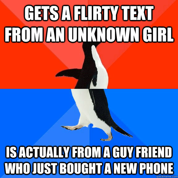 Gets a flirty text from an unknown girl Is actually from a guy friend who just bought a new phone  Socially Awesome Awkward Penguin