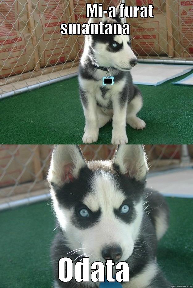                 MI-A FURAT SMANTANA ODATA Insanity puppy