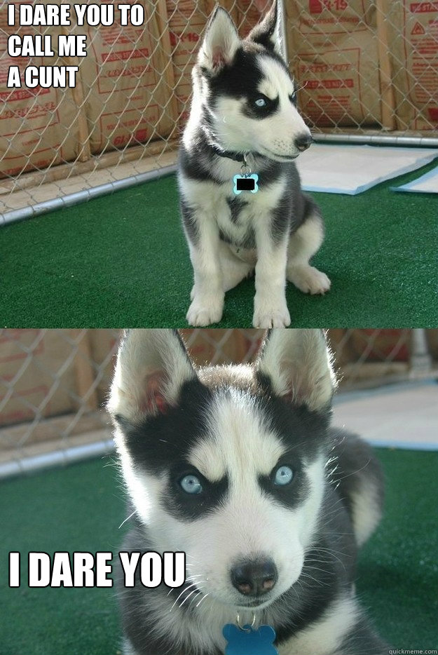 I dare you to 
call me
a cunt I DARE YOU  Insanity puppy