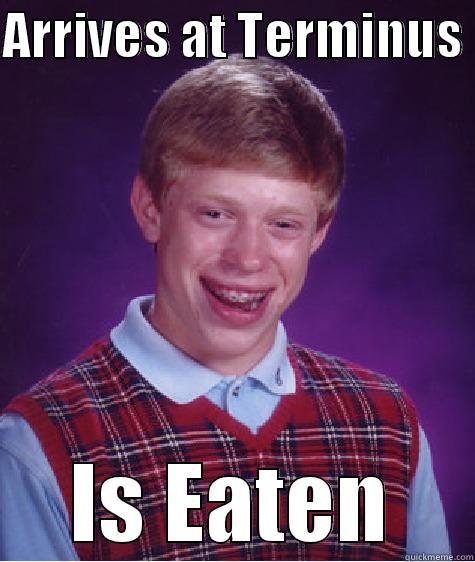 ARRIVES AT TERMINUS  IS EATEN Bad Luck Brian