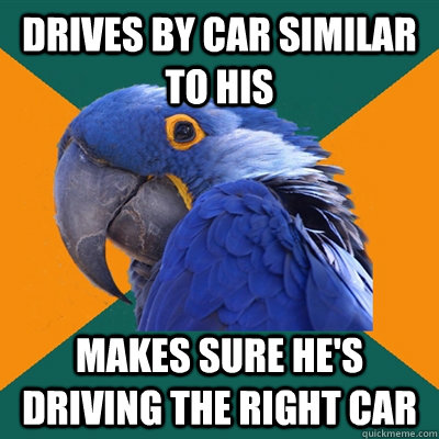 drives by car similar to his makes sure he's driving the right car  Paranoid Parrot