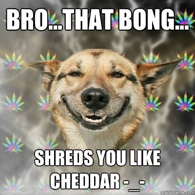 bro...that bong... shreds you like cheddar -_-  Stoner Dog
