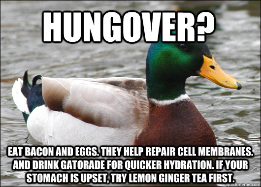 hungover? eat bacon and eggs. they help repair cell membranes. and drink gatorade for quicker hydration. if your stomach is upset, try lemon ginger tea first.  Actual Advice Mallard