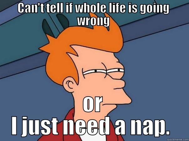 CAN'T TELL IF WHOLE LIFE IS GOING WRONG OR I JUST NEED A NAP.  Futurama Fry