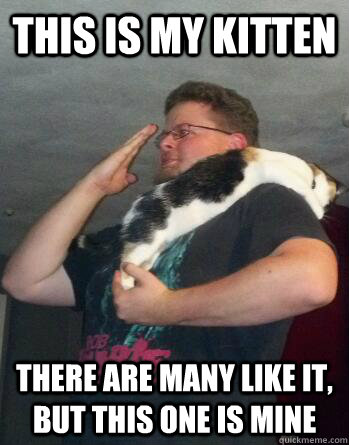 THIS IS MY KITTEN THERE ARE MANY LIKE IT, BUT THIS ONE IS MINE - THIS IS MY KITTEN THERE ARE MANY LIKE IT, BUT THIS ONE IS MINE  lawdjawsh