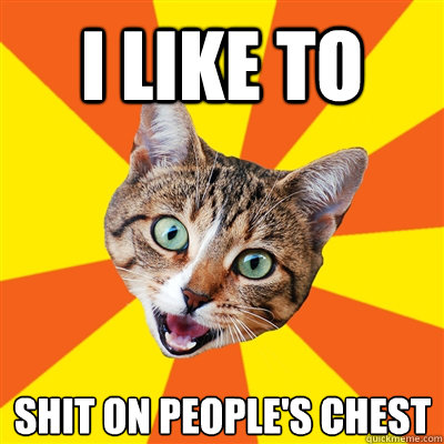 I like to Shit on people's chest  Bad Advice Cat