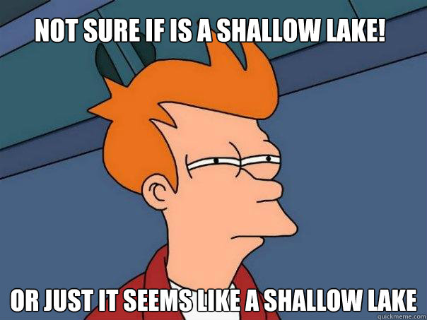 Not sure if is a shallow lake! or just it seems like a shallow lake
  Futurama Fry
