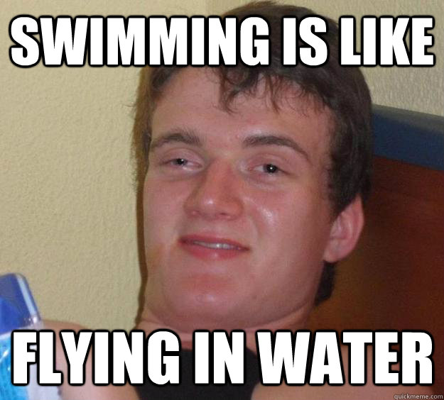 swimming is like flying in water  10 Guy