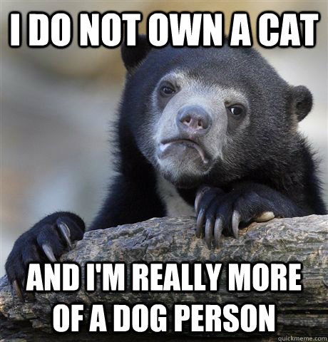 I do not own a cat and i'm really more of a dog person  Confession Bear