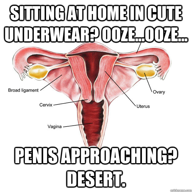 Sitting at home in cute underwear? Ooze...ooze... Penis approaching? Desert.  Scumbag Uterus