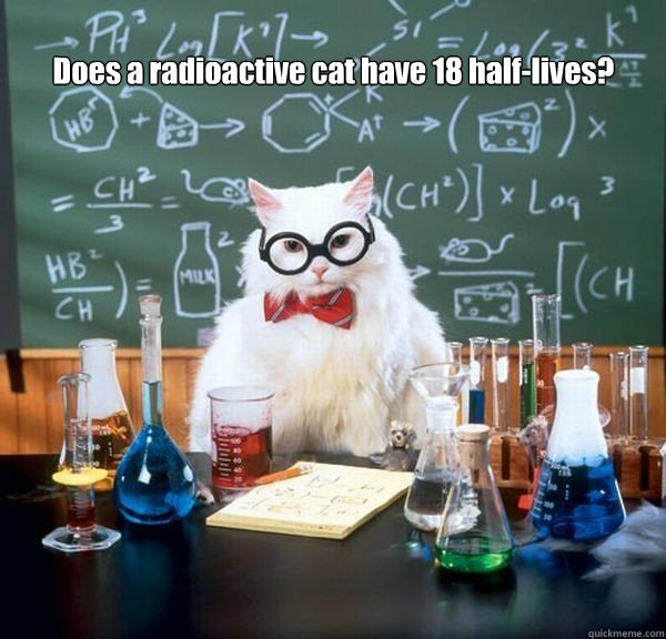 Does a radioactive cat have 18 half-lives?   