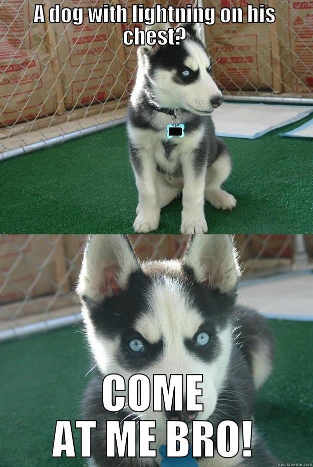 A DOG WITH LIGHTNING ON HIS CHEST? COME AT ME BRO! Insanity puppy