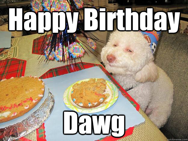 Happy Birthday Dawg  Stoned Birthday Dog