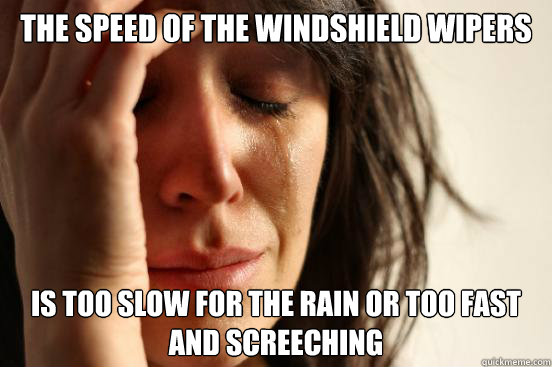 The speed of the windshield wipers is too slow for the rain or too fast and screeching  First World Problems