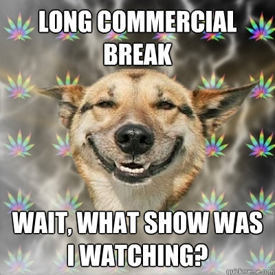 Long commercial break Wait, what show was I watching?  Stoner Dog