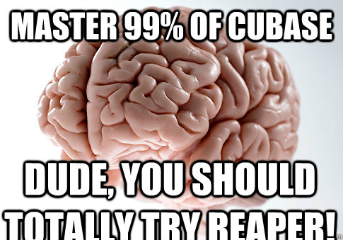 MASTER 99% OF CUBASE DUDE, YOU SHOULD TOTALLY TRY REAPER!  Scumbag Brain