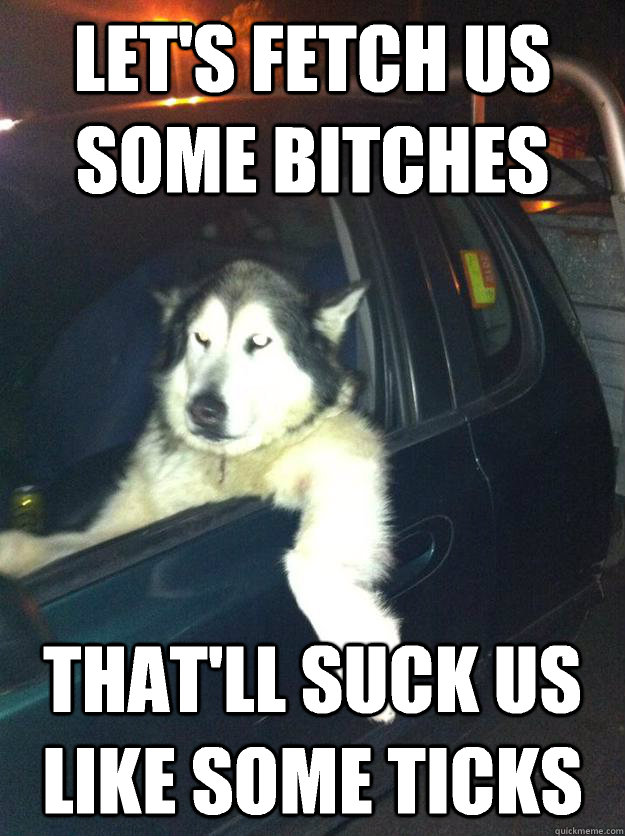 Let's fetch us some bitches That'll suck us like some ticks  Mean Dog