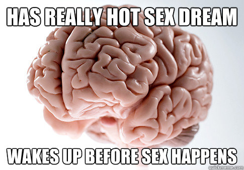 Has really hot sex dream Wakes up before sex happens  Scumbag Brain
