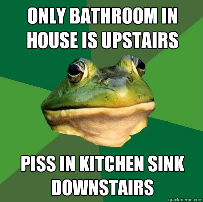 only bathroom in house is upstairs piss in kitchen sink downstairs  Foul Bachelor Frog