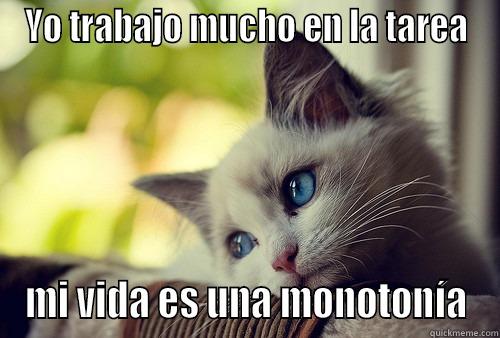 YO TRABAJO MUCHO EN LA TAREA MI VIDA ES UNA MONOTONÍA First World Problems Cat