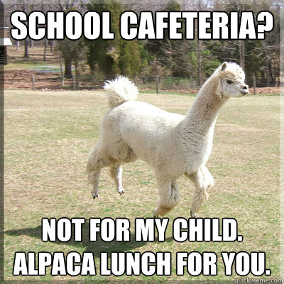 School cafeteria? Not for my child. Alpaca lunch for you. - School cafeteria? Not for my child. Alpaca lunch for you.  Alpaca bowl