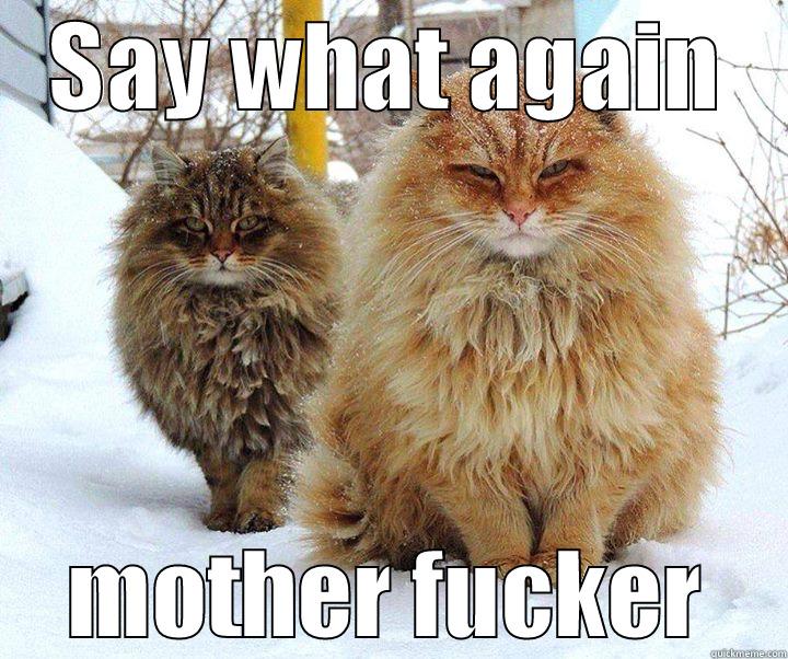SAY WHAT AGAIN MOTHER FUCKER Misc