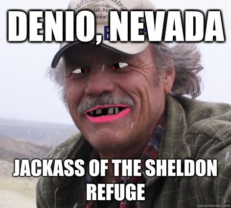 Denio, Nevada Jackass of the Sheldon Refuge  