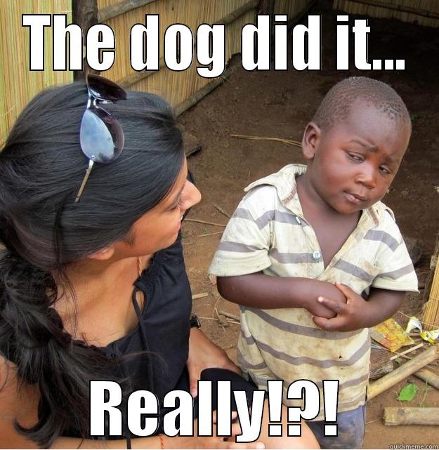 THE DOG DID IT... REALLY!?! Skeptical Third World Kid